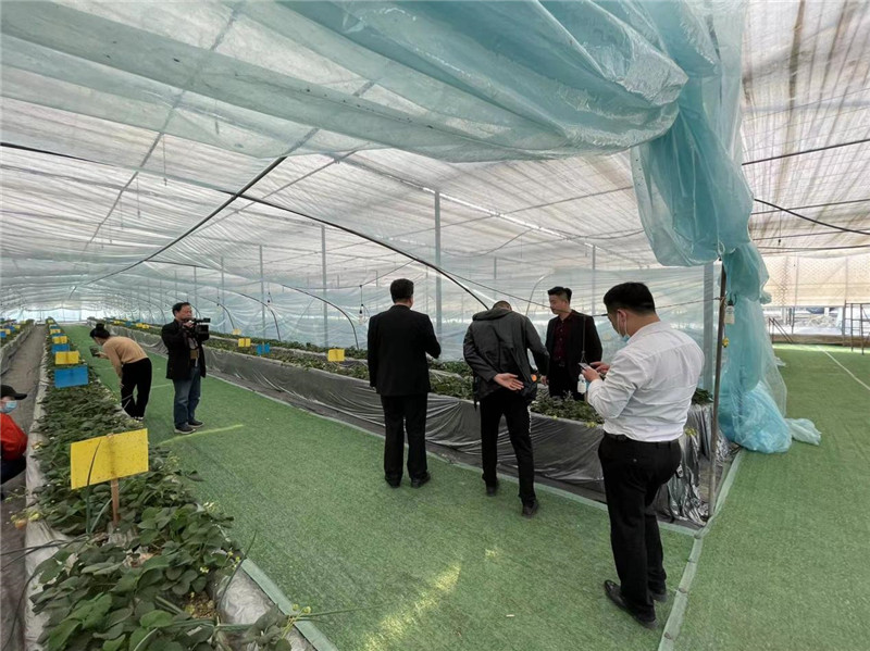 要素跟着项目走 服务围绕项目转 下塘镇又增百亿项目即将腾飞