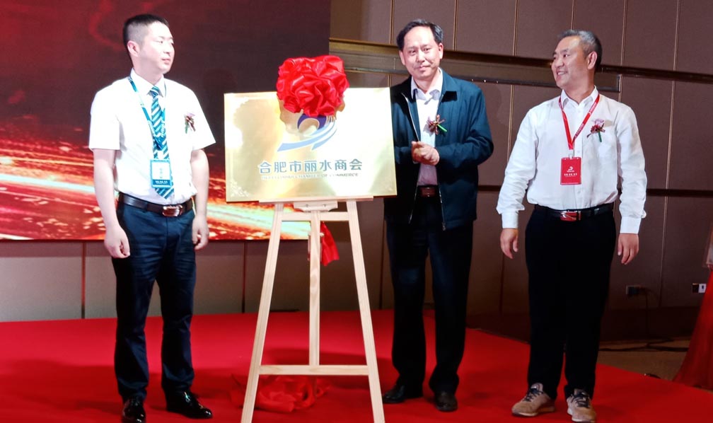 合肥丽水商会第一次会