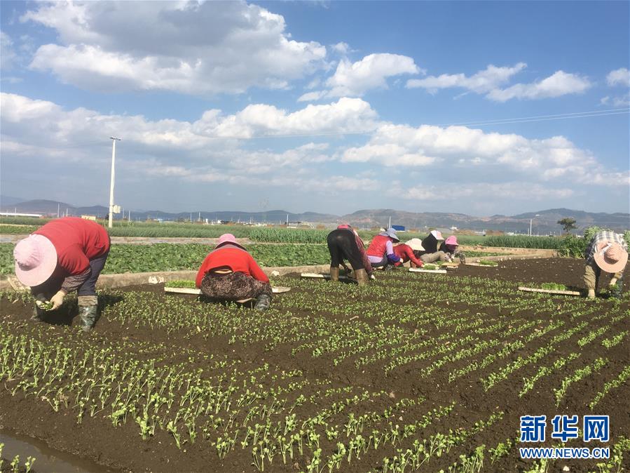 （新华全媒头条・图文互动）（8）沧海桑田一指间――6个村庄的70年巨变 