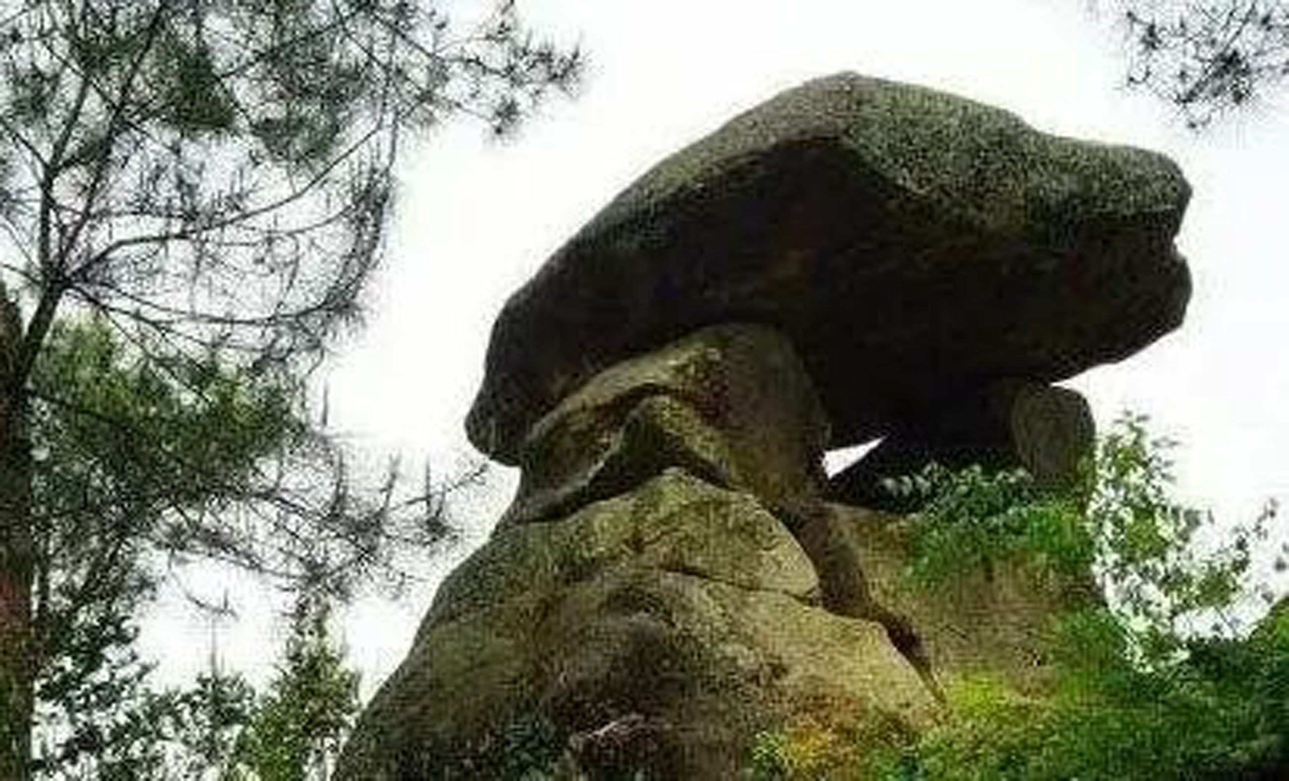 摇铃 梦回那一片宁静