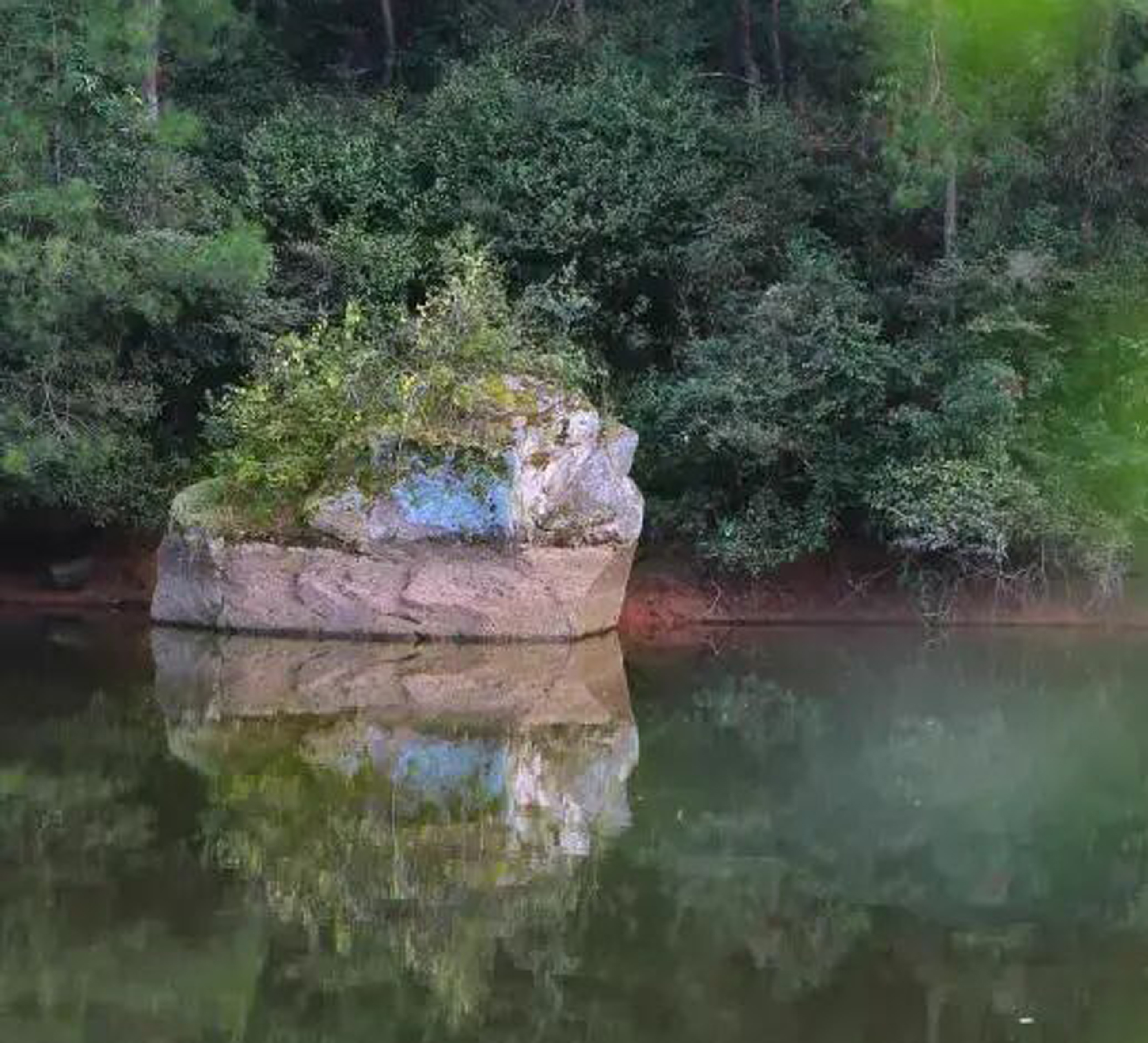 微信图片_2026-07-10_183233_543.jpg